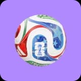 Bola Rasmi Piala Dunia